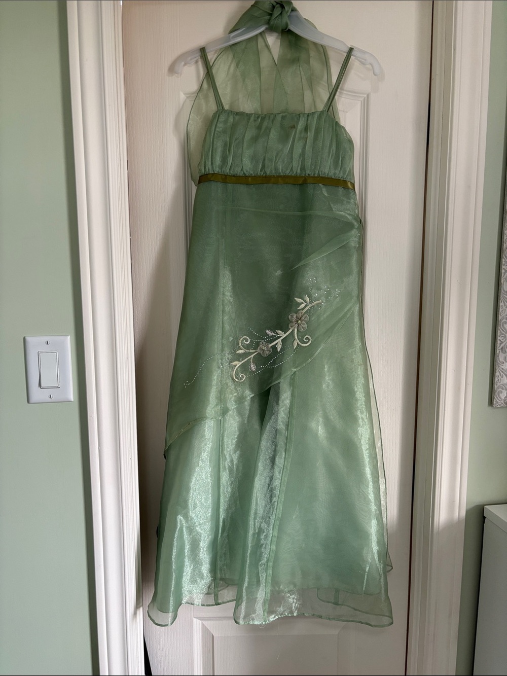 Girls' Light Green Embroidered Organza Dress